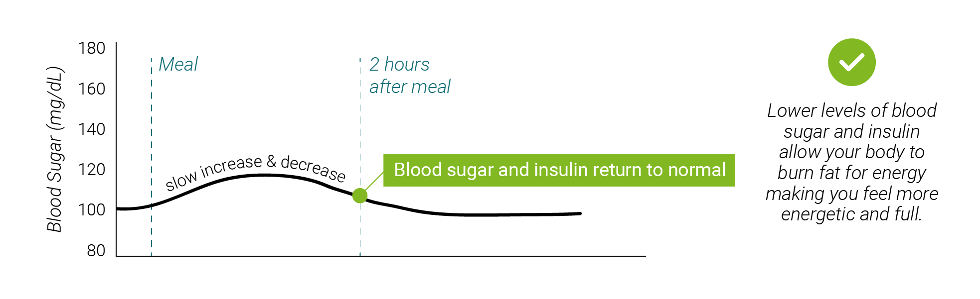 Graph of blood sugar vs. time after eating a low carb meal